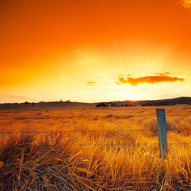 laranja incandescência campo - grandchester imagens e fotografias de stock