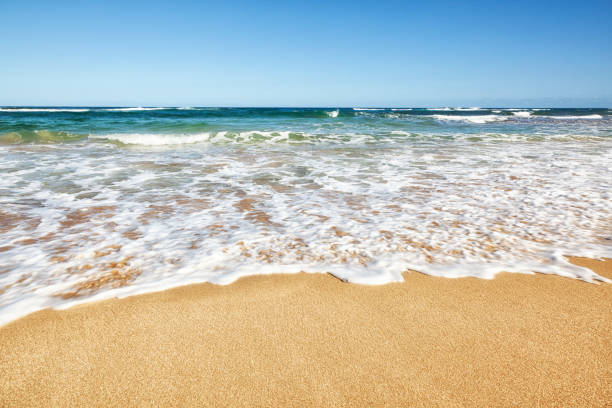 istock Beautiful Kauai Beach inviting blue water and sky 155154446