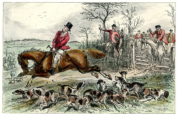 130+ Fox Hunting Painting Stock Photos, Pictures & Royalty-Free