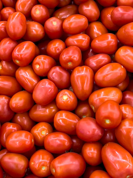 istock Vertical Background Of Roma Tomatoes 1551564446