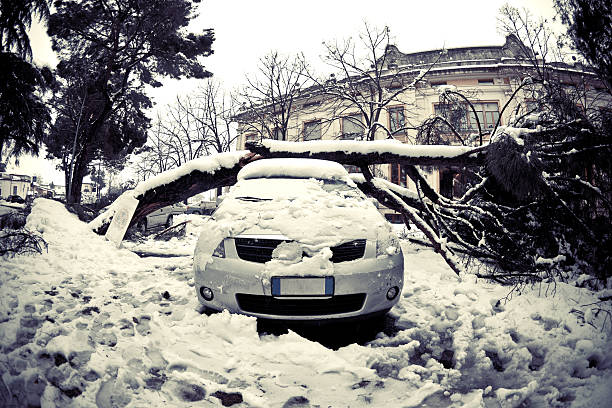 Coche en árbol caído después de Nieve intensa - foto de stock