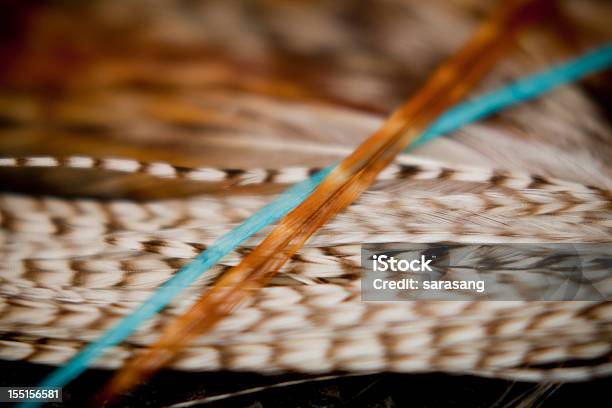 Feather Haaraccessoires Nahaufnahme Stockfoto und mehr Bilder von Bildschärfe - Bildschärfe, Farbbild, Feder