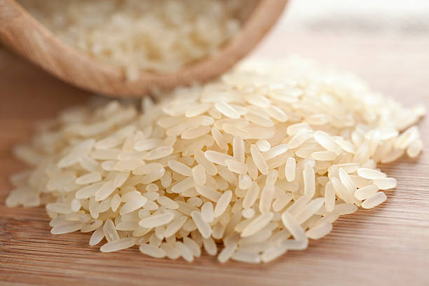 Rice stock photo