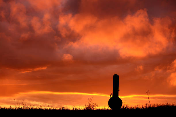 banjo silhouette - hardshell foto e immagini stock