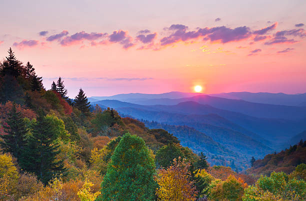 herbst sonnenaufgang über den bergen - great smoky mountains great smoky mountains national park fog mountain stock-fotos und bilder