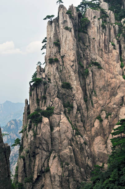 istock Granite Rock with Pine Trees Huangshan China 155156974