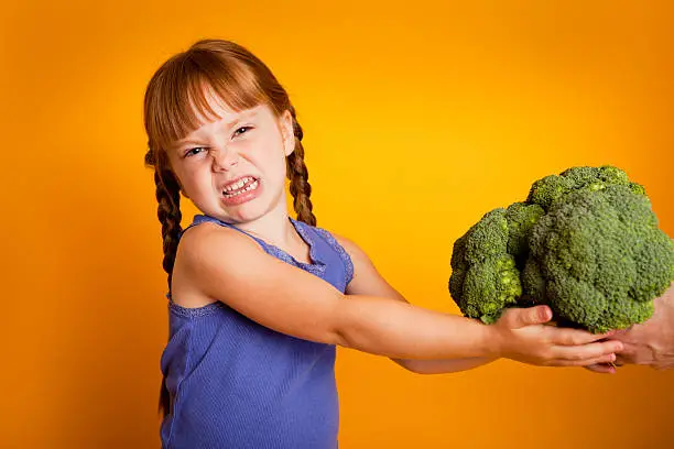 Color photo of a little girl taking a bunch of broccoli and making a face of disgust.