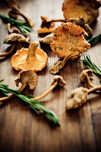 Mushrooms Golden chanterelles and funnell chanterelles lying on a table with rosemary, To create a rustic mood, there is still some dirt on those vegetables. Noise added. cantharellus tubaeformis stock pictures, royalty-free photos & images