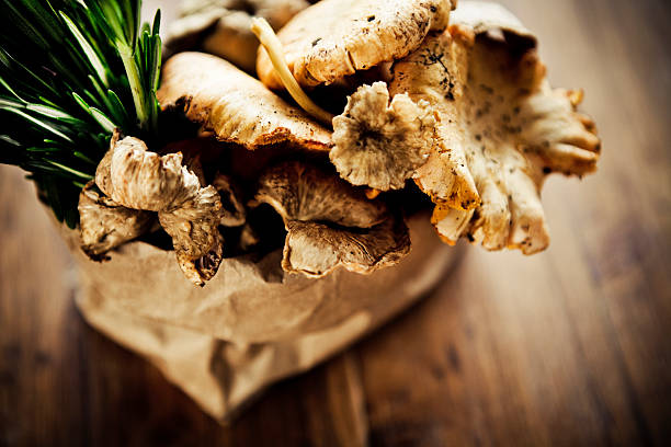 cogumelos - chanterelle golden chanterelle edible mushroom mushroom imagens e fotografias de stock