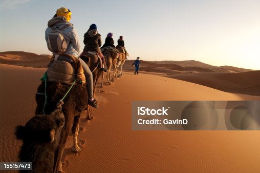 istock Tourists on train of camels in Sahara led by guide 155157473