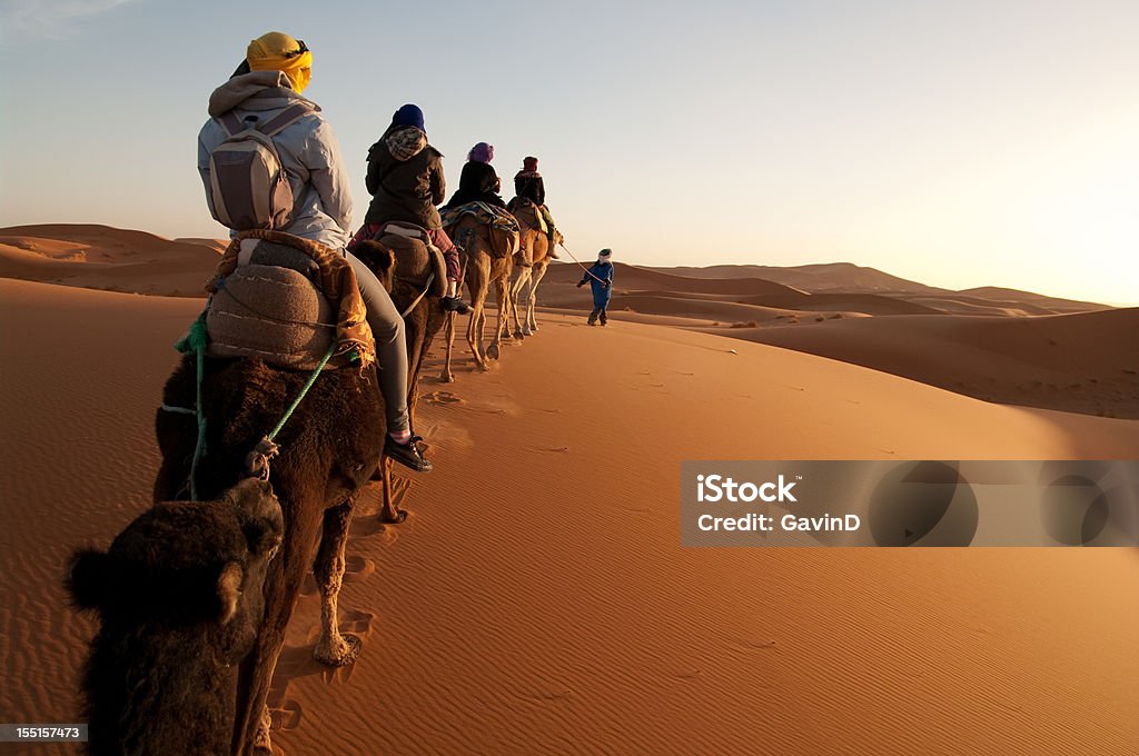 Tourists on train of camels in Sahara led by guide Anonymous guide leads camels with tourists riding into setting sun in Sahara desert.  Morocco Stock Photo