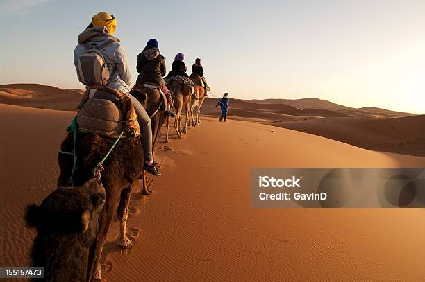 Tourists On Train Of Camels In Sahara Led By Guide Stock Photo - Download Image Now - Morocco, Camel, Desert Area