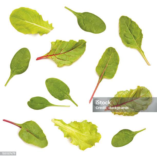 Gemischten Grünen Salat Blätter Stockfoto und mehr Bilder von Salat - Blattgemüse - Salat - Blattgemüse, Blatt - Pflanzenbestandteile, Spinat