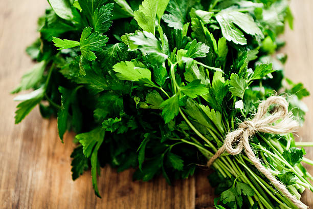 Parsley Bouquet Herb: Bunch of italian parsley. parsley stock pictures, royalty-free photos & images