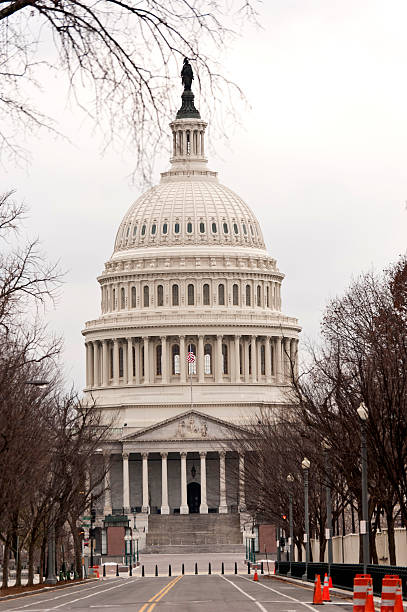 istock Capitol Building in Washington DC 155158361