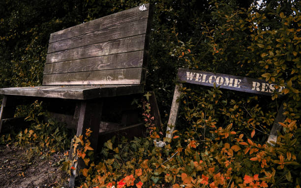 istock Rest stop bench in a woodland trail 1551583662