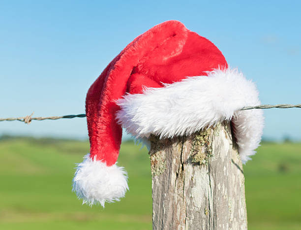 istock Christmas in the Southern Hemisphere 155158427
