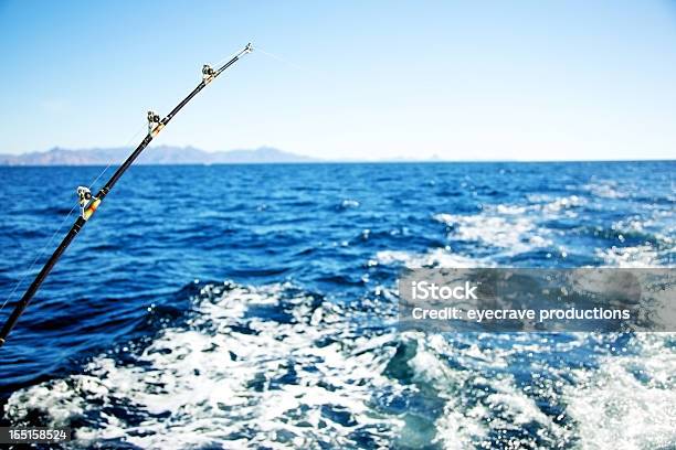 Deep Sea Fishing Pole Stock Photo - Download Image Now - 21st Century, Baja California Peninsula, Big Game Fishing