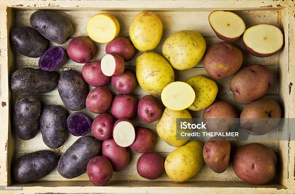 Variedades diferentes de papas - Foto de stock de Agricultura libre de derechos