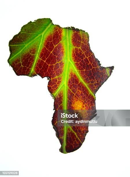 아프리카 잎 아프리카에 대한 스톡 사진 및 기타 이미지 - 아프리카, 지도, 금색