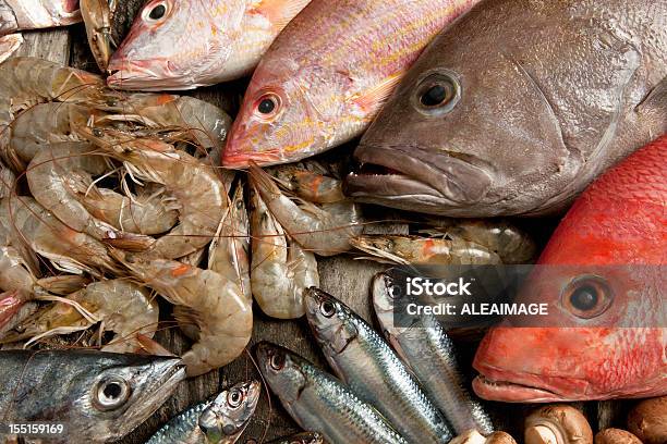 Fisch Und Meeresfrüchte Stockfoto und mehr Bilder von Fisch - Fisch, Fische und Meeresfrüchte, Farbbild