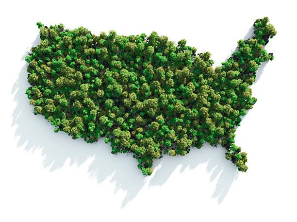 green usa - lumber industry reforestation tree forest zdjęcia i obrazy z banku zdjęć