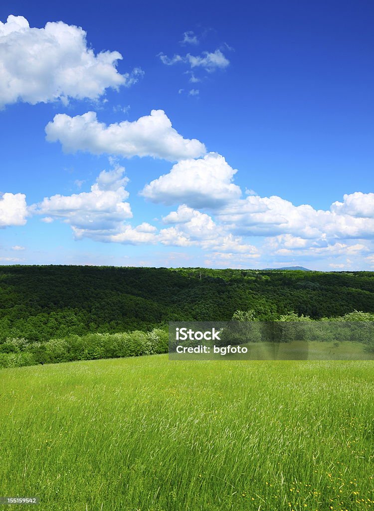 Paisaje de primavera - Foto de stock de Aire libre libre de derechos