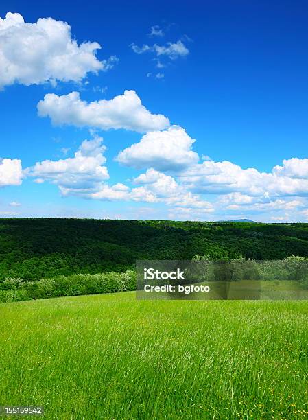 Paisaje De Primavera Foto de stock y más banco de imágenes de Aire libre - Aire libre, Azul, Boscaje