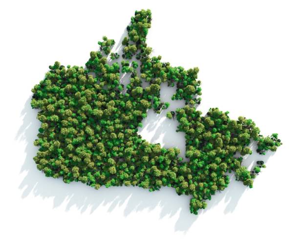 Map of Canada formed by trees on white background