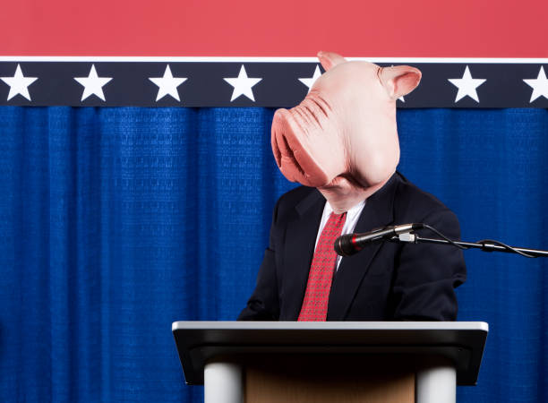 istock Pig Headed Politician 155160047