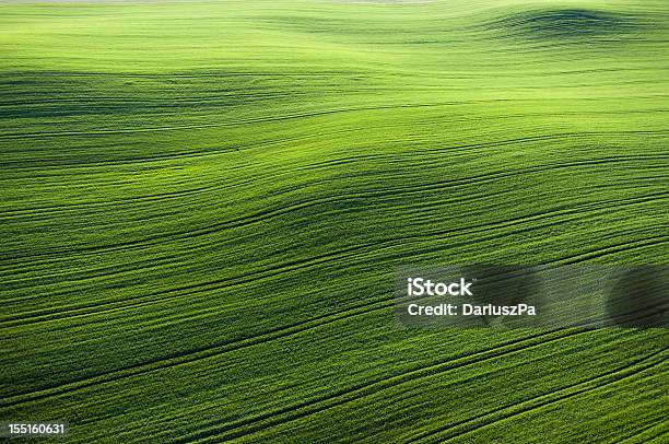 Aerial Photo Of Farmland Stock Photo - Download Image Now - Aerial View, Agricultural Field, Agriculture