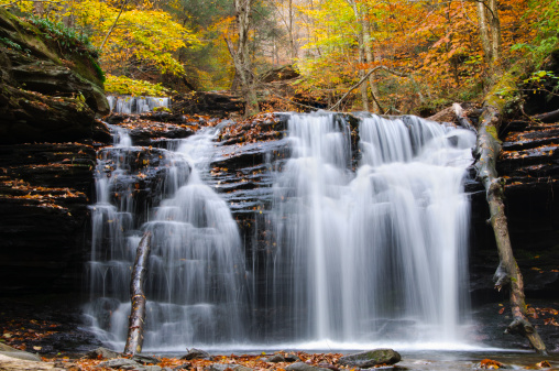 A waterfall at Ricketts Glen State Park, Pennsylvania.