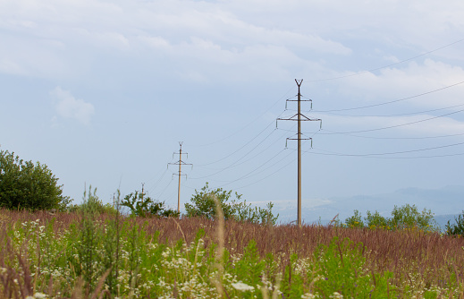 Swallows Hirundo rustica perching on telegraph wires in a large group, getting ready for a migration flight, North Yorkshire, England, United Kingdom