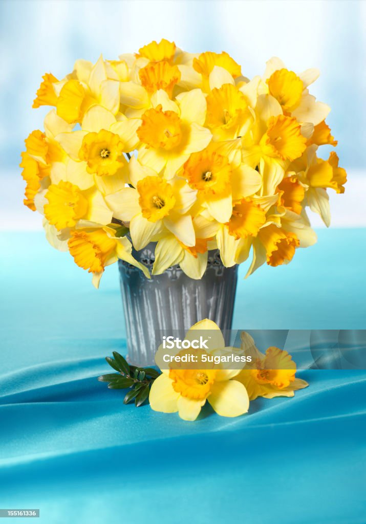 Narciso bouquet - Foto de stock de Cubo - Recipiente libre de derechos