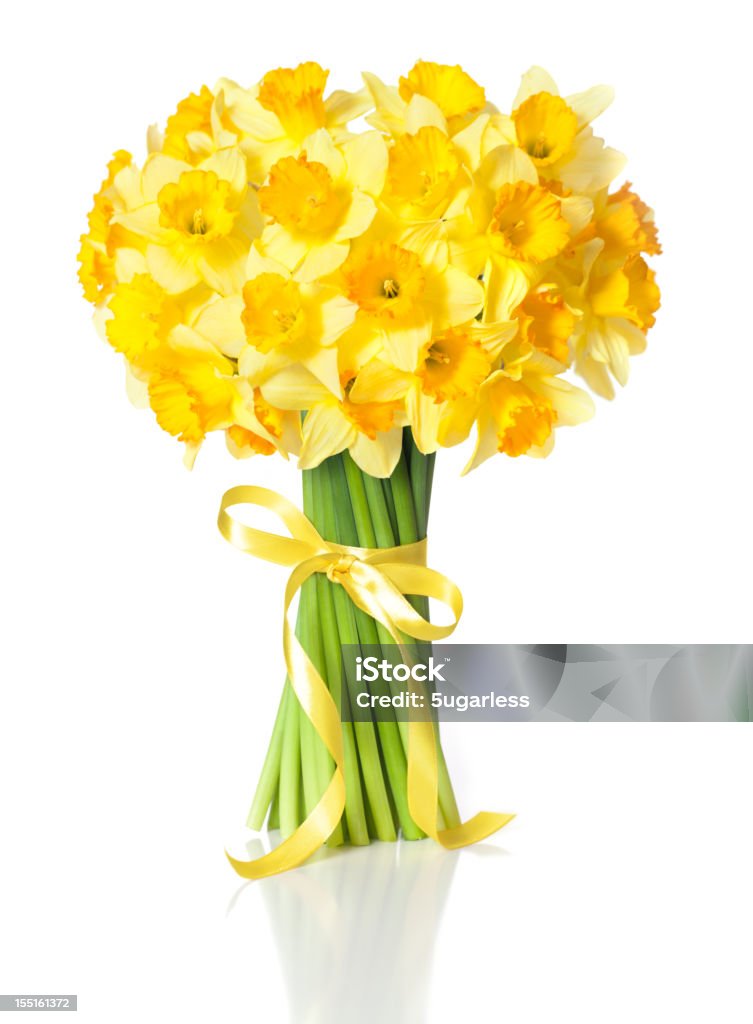 Páscoa narcisos - Foto de stock de Narciso - Família do Lírio royalty-free