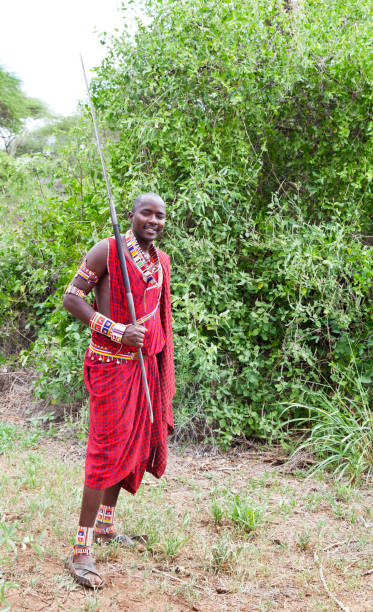 istock Young maasai warrior with spear in Porini, Kenya. 155161547