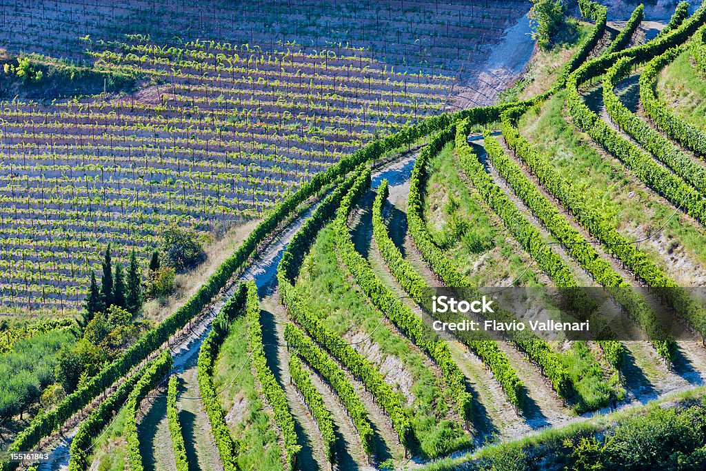 Valpolicella виноградники из выше, Италия - Стоковые фото Террасовое поле роялти-фри