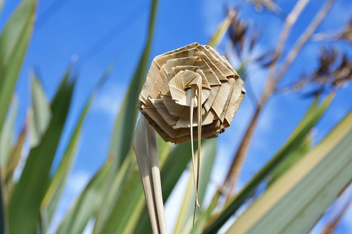 A Putiputi is the Maori Te Reo name for a woven flower made from the New Zealand Flax leaves.