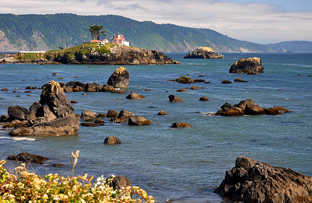 istock Battery Point Lighthouse, Crescent City coastline, California 155169270