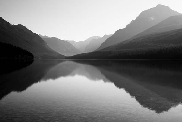 Black and white photo of Bowman Lake Bowman Lake in Glacier National Park lakeshore photos stock pictures, royalty-free photos & images