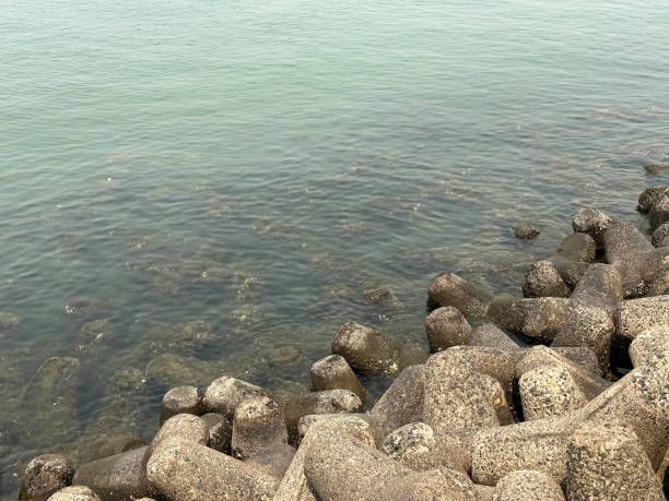 immagine ravvicinata della diga di marine drive, mumbai, india, interblocco, cemento, difesa del mare a blocchi tetrapodi, gestione costiera, prevenzione dell'erosione, acqua di mare e onde, vista elevata, messa a fuoco in primo piano - prevenzione dellerosione del suolo foto e immagini stock