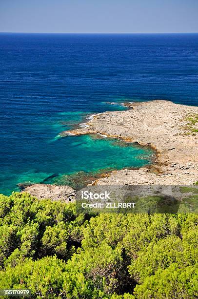 Hermoso Mar De Porto Selvaggio Foto de stock y más banco de imágenes de Agua - Agua, Aire libre, Arbusto