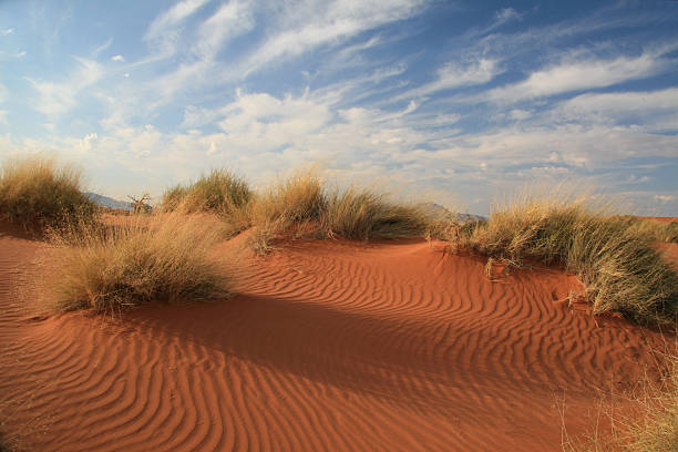 istock Reddish-toned sand dunes of Namibia 155171092