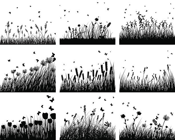 9 메도 배경 - flower bed gardening flower field stock illustrations