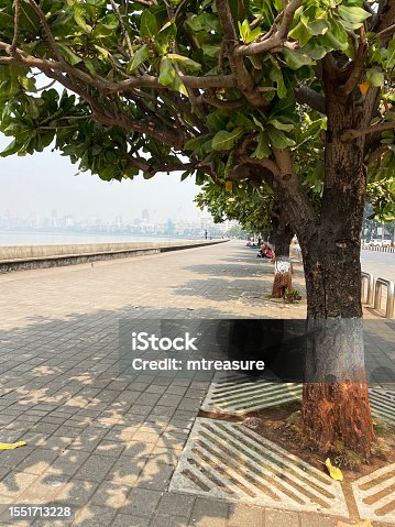 istock Close-up image of row of National flag of India colour, orange, white and green painted tree trunks on Marine Drive promenade, Mumbai, India, concrete seawall coastal management, block paved pavement, sea water, C-shaped promenade, buildings, skyscrapers 1551713228