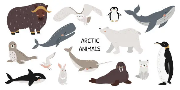 Vector illustration of Set of cute polar animals, marine mammals and birds. A collection of wild Arctic animals. Whale, narwhal, walrus, polar owl, polar bear, penguins. Vector illustration in flat style. White background. Banner.