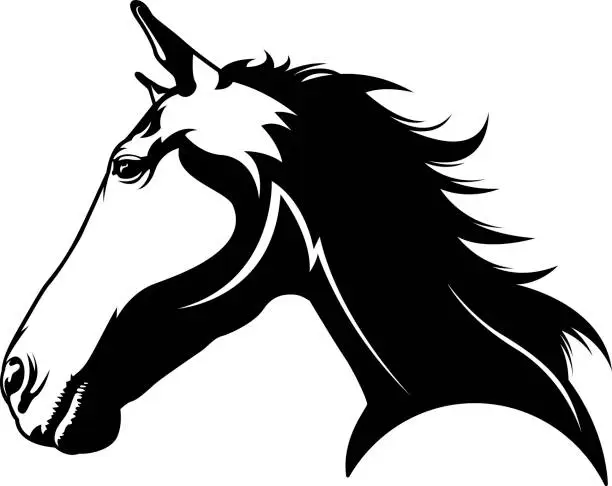 Vector illustration of Horse Head