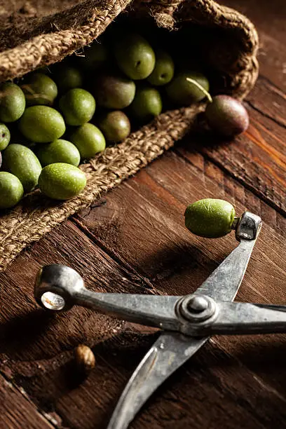 Olives with Olive Stoner on Wood