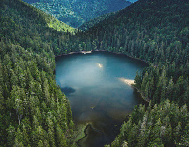 istock Lake Synevir in Carpathian Mountains 1551758296