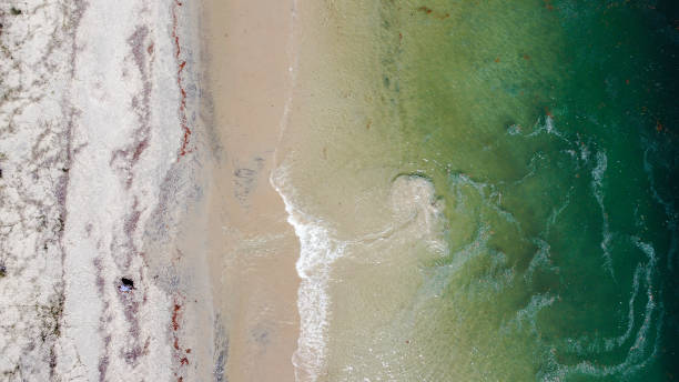 istock Aerial View, Inskip Point, Rainbow Beach,Queensland, 1551792881